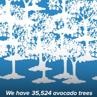 Still from video showing drawings of white trees on blue background