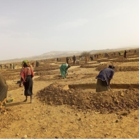 Group of people digging