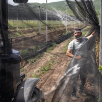 A man in a field in a farm is pulling some netting along between metal or concrete posts. The soil looks ploughed, and there is a tractor in the foreground.
