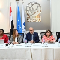 A panel of five people sitting behind a table, speaking into microphones. Behind them are four flags and the logo of the CCCPA