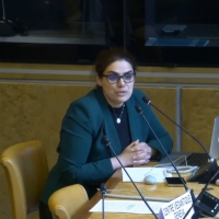 Screenshot from the video of the meeting, showing Ms Bahishta Nothani speaking. She is sitting at a desk, taking into a microphone.