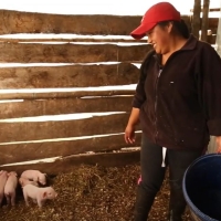 GP-AM-12-MIES, UNHCR-Ecuador-Social Protection and livelihoods for Ecuadorian_pic from video.JPG