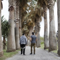 Two men walk away from the camera under tall trees