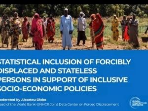 The opening slide for the webinar, showing 17 people standing outside in quite a dry landscape, with a large group of trees behind. They are wearing brightly coloured loose clothing, and some of them are holding buckets. Underneath, are the words "Statistical Inclusion of Forcibly Displaced and Stateless Persons in Support of Inclusive Socio-Economic Policies. Moderated by Aissatou Dicko, Head of the World Bank-UNHCR Joint Data Center on Forced Displacement" along with the Global Compact on Refugees logo