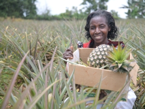 A woman shows off her pineapple harvest