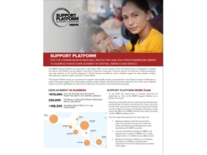 MIRPS Support Platform Update 2021 cover