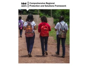 MIRPS report cover