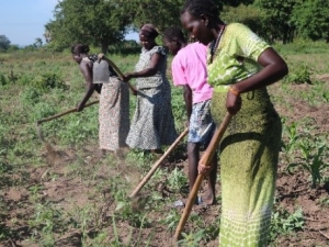 A group of four working in a field