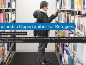 Opportunities portal 1