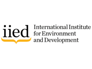 iied logo