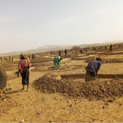 Group of people digging