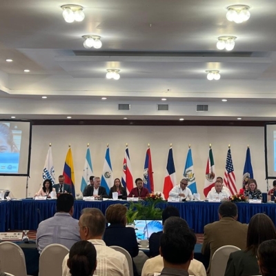 A meeting, with participants sitting behind tables laid out in a rectangle, with screens and flags behind the panel