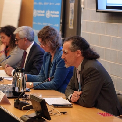A photo of the panel, with four people sitting in a row - the closest one is speaking into a microphone