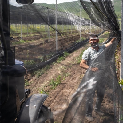 A man in a field in a farm is pulling some netting along between metal or concrete posts. The soil looks ploughed, and there is a tractor in the foreground.