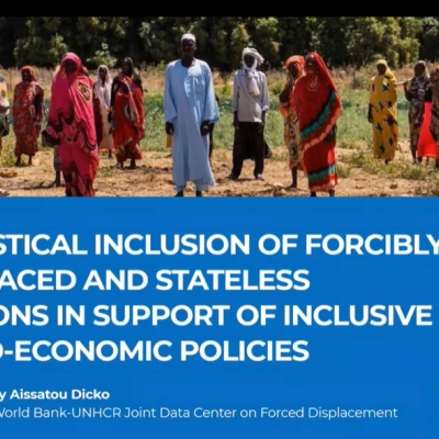 The opening slide for the webinar, showing 17 people standing outside in quite a dry landscape, with a large group of trees behind. They are wearing brightly coloured loose clothing, and some of them are holding buckets. Underneath, are the words "Statistical Inclusion of Forcibly Displaced and Stateless Persons in Support of Inclusive Socio-Economic Policies. Moderated by Aissatou Dicko, Head of the World Bank-UNHCR Joint Data Center on Forced Displacement" along with the Global Compact on Refugees logo