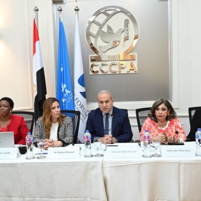 A panel of five people sitting behind a table, speaking into microphones. Behind them are four flags and the logo of the CCCPA
