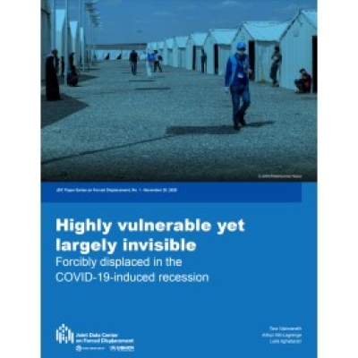 JDC - Highly Vulnerable yet largely invisible front cover