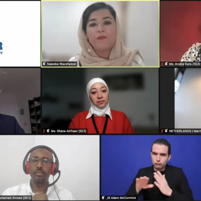 Screenshot of side event panel meaningful participation speakers on Zoom