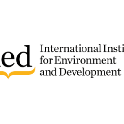 iied logo