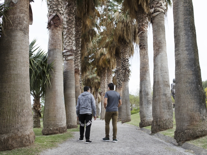 Two men walk away from the camera under tall trees