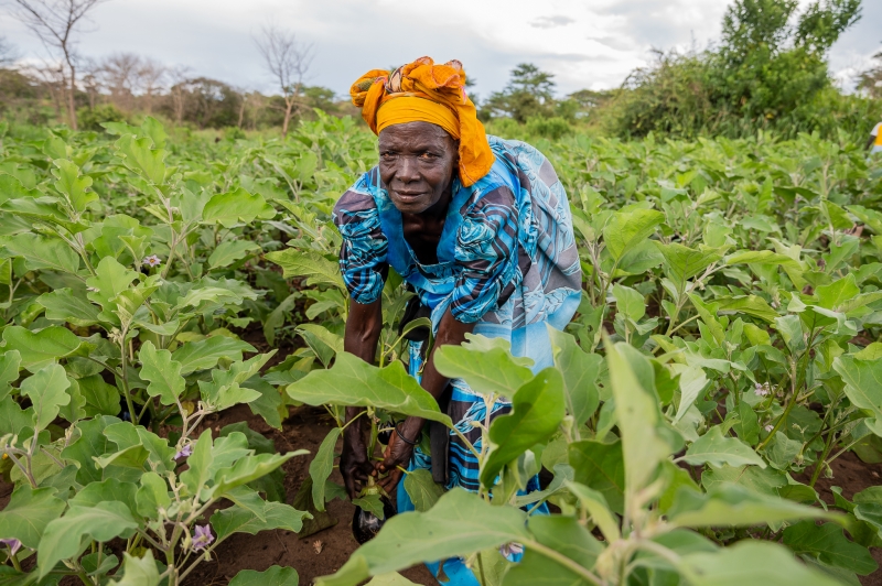 A woman tending to her garden looks up at the camera
