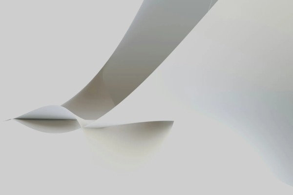 A white background with a line going from the top to the centre, which ends in petal shapes