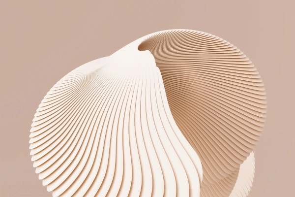 A cream shell on a peach background