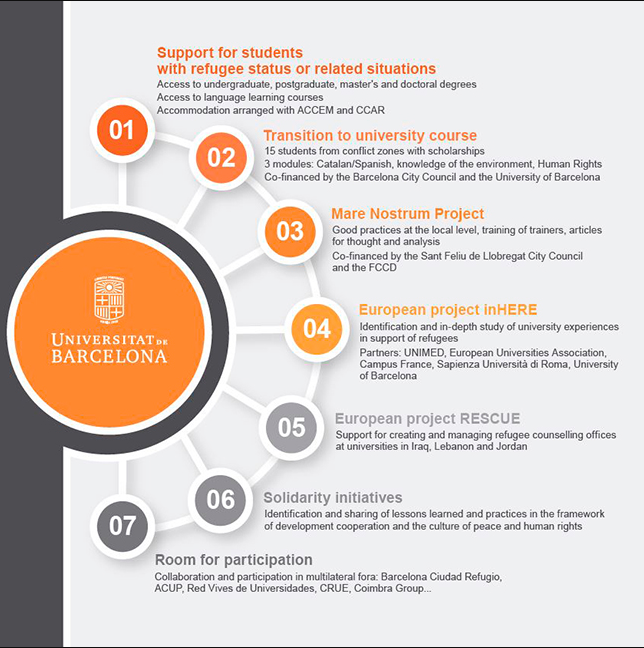 Chart showing main activities of project.