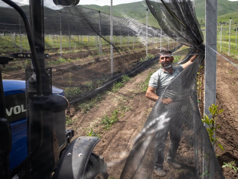 A man in a field in a farm is pulling some netting along between metal or concrete posts. The soil looks ploughed, and there is a tractor in the foreground.