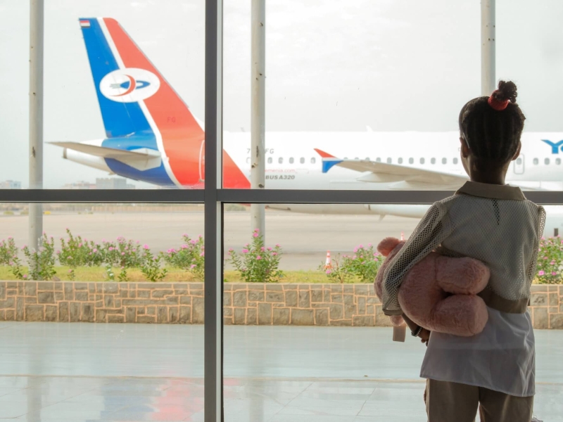 A girl, with her back to the camera, is looking out of a large glass window at an aeroplane standing behind a bank of plants. She has a large pink teddy bear tucked under one arm