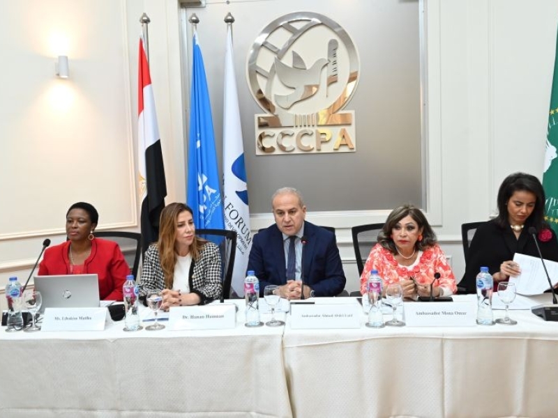 A panel of five people sitting behind a table, speaking into microphones. Behind them are four flags and the logo of the CCCPA