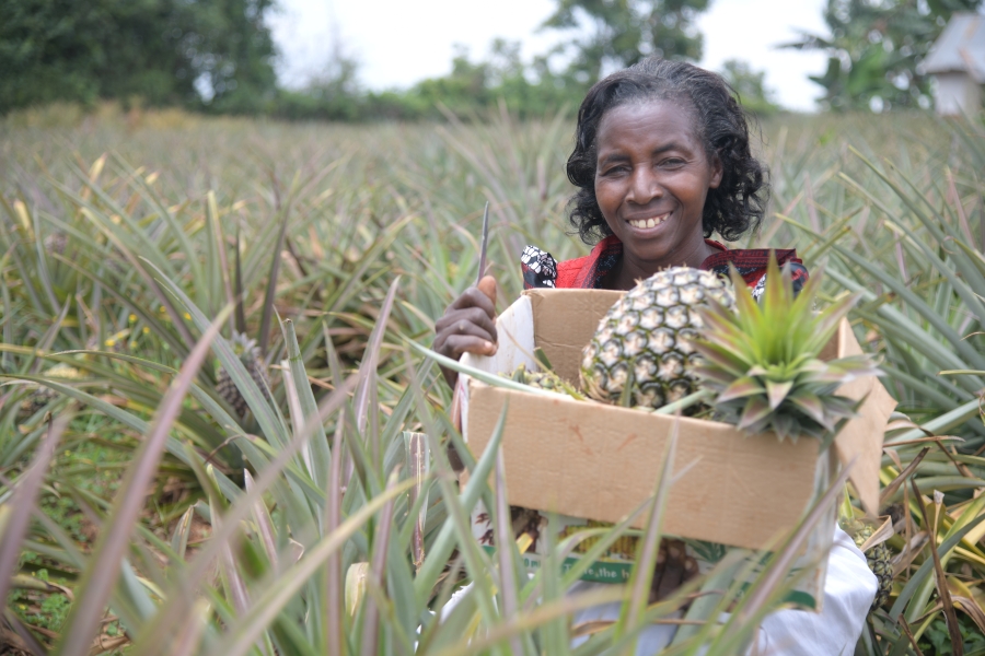 A woman shows off her pineapple harvest