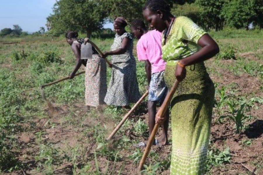 A group of four working in a field