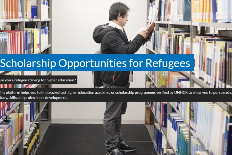 Opportunities portal 1