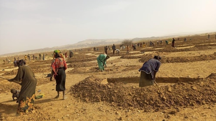 Group of people digging