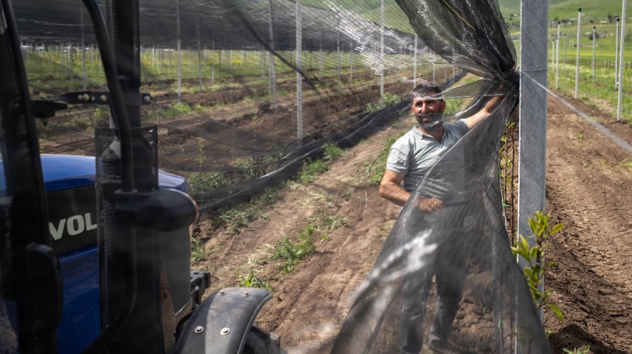 A man in a field in a farm is pulling some netting along between metal or concrete posts. The soil looks ploughed, and there is a tractor in the foreground.